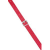 Single Strap-On Vibrant Red