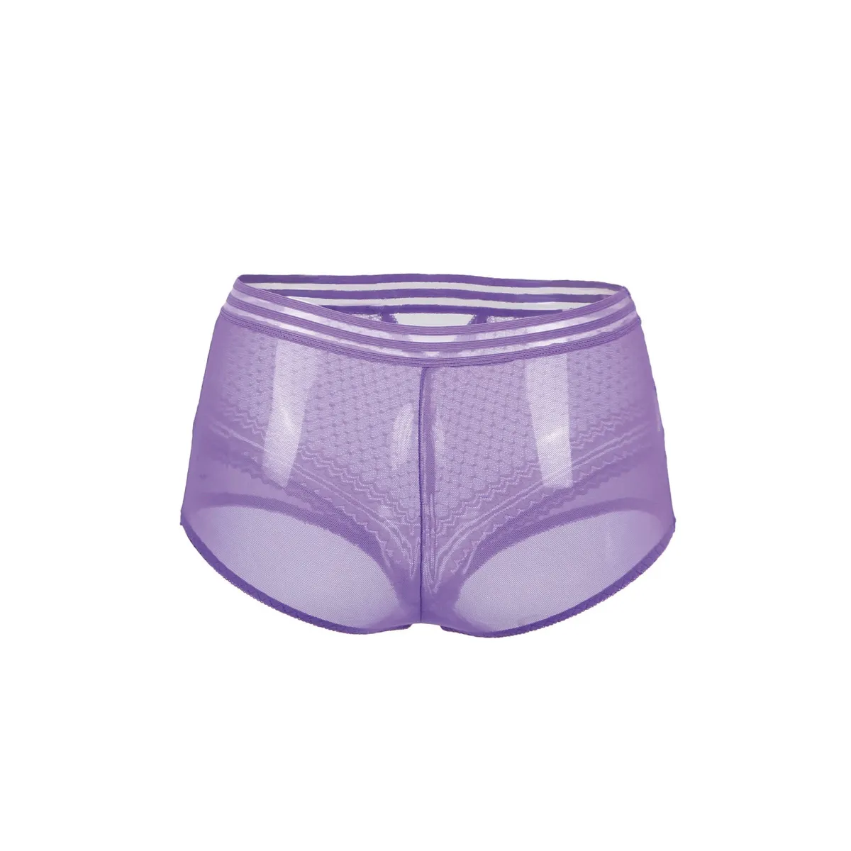 Sexy purple high panties fine mesh