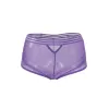 Sexy purple high panties fine mesh