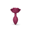 Open Roses M - Estrella de la Ciruela
