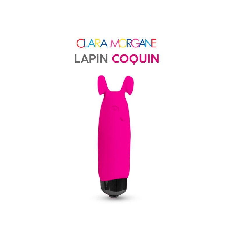 Petits coquin : Lapin Coquin
