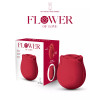 Flower of Love