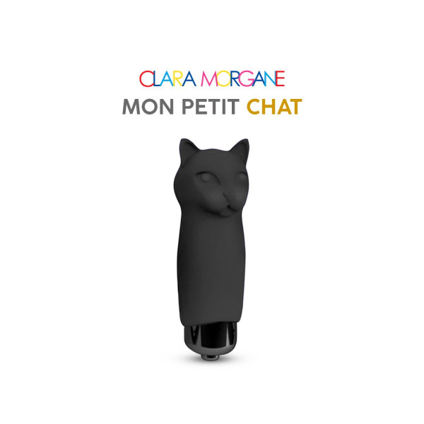 Petits coquin : Mon petit Chat